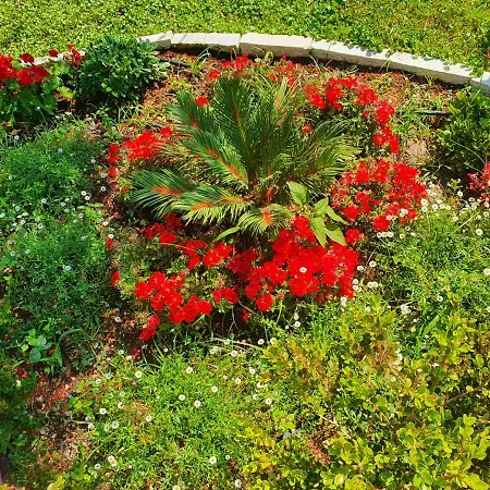 Daglas House Semesterbostad *