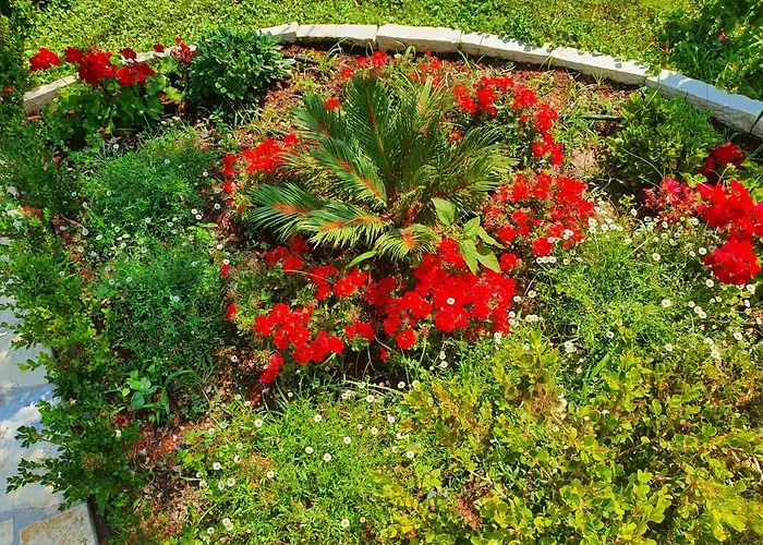 Daglas House Nyaraló *